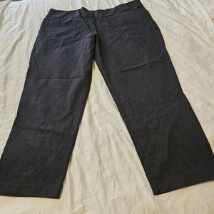 Terra Sky Heather color trouser pants size 2X